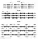 Fig. 29 - Systems and methods for biological analysis