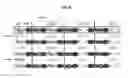 Fig. 45 - Systems and methods for biological analysis