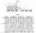 Fig. 65 - Systems and methods for biological analysis