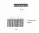 Fig. 07 - Method for detection CPV 2a, 2b, and 2c and for discrimination wild type from vaccine type