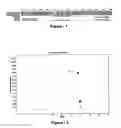 Fig. 02 - In-Vitro Detection of Human Parvovirus 4