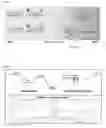 Fig. 02 - Probes for identifying geographical distribution and molecular epidemiology of viral hemorrhagic septicemia virus (VHSV) and uses thereof