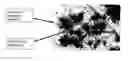 Fig. 01 - Galvanically-active in situ formed particles for controlled rate dissolving tools