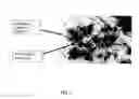 Fig. 02 - Galvanically-active in situ formed particles for controlled rate dissolving tools