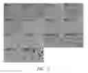 Fig. 30 - Atomic layer deposition of rhenium containing thin films