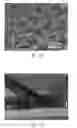 Fig. 35 - Atomic layer deposition of rhenium containing thin films