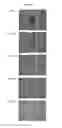 Fig. 04 - Insulating coating for electrical steel sheet