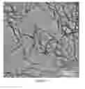 Fig. 02 - Preparation method of para-aramid nanofibers