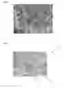 Fig. 03 - SINGLE-PLY TEXTILE SUPPORT AND REINFORCING MATERIAL