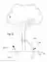 Fig. 46 - Ground mounting assembly