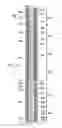 Fig. 13 - Isolator