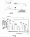 Fig. 07 - Fluid Relationship Tracking to Support Model Dependencies