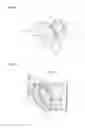 Fig. 08 - Drain nut attachment structure for synthetic resin cover