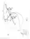 Fig. 02 - Energy kite winching using buoyancy