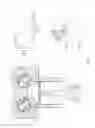 Fig. 08 - Rotary Valve for a Reversible Compressor