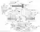 Fig. 01 - Hydraulic system and method for reducing boom bounce with counter-balance protection