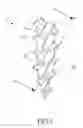 Fig. 08 - STRUCTURE OF SCREW