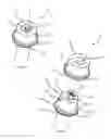 Fig. 07 - Fastener