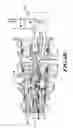 Fig. 06 - Oil controlled valve