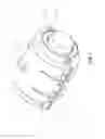 Fig. 02 - Encapsulation sleeve gasket assembly with removable inner layer