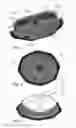 Fig. 02 - Method for manufacturing lens with facilitated light diffusion
