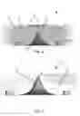 Fig. 03 - Method for manufacturing lens with facilitated light diffusion