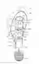 Fig. 01 - Lighting device comprising a split lighting engine