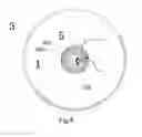 Fig. 09 - LED light bulb