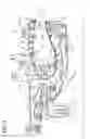 Fig. 03 - Gas turbine engine combustor main mixer with vane supported centerbody