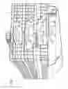 Fig. 02 - DYNAMIC SIZING OF DAMPER SECTIONS AND/OR AIR ECONOMIZER COMPARTMENTS