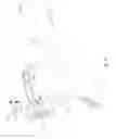 Fig. 24 - BACKLIT SIGHTING DEVICE
