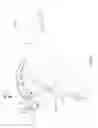 Fig. 25 - BACKLIT SIGHTING DEVICE