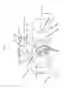 Fig. 03 - Co-aligned close quarters battlefield sight