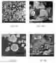 Fig. 15 - Selectively Disabled Ammunition and Remote Ammunition Disabling System and Method of Use
