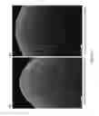 Fig. 22 - AGILE IMAGING SYSTEM