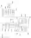 Fig. 22 - PATHOLOGIC STAGING COMPRESSION APPARATUS AND METHODS
