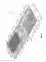 Fig. 09 - Sectionable cassette and embedding frame with tissue immobilizing separable lid, and methods for preparing biopsy tissue samples
