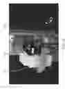 Fig. 07 - Automated slide assessments and tracking in digital microscopy
