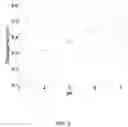 Fig. 06 - System and method for small molecule detection