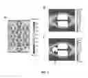 Fig. 03 - METHOD AND APPARATUS FOR HIGH-RESOLUTION IMAGING OF CELL-CELL COMMUNICATION