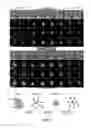 Fig. 05 - METHOD AND APPARATUS FOR HIGH-RESOLUTION IMAGING OF CELL-CELL COMMUNICATION
