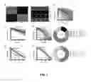 Fig. 08 - METHOD AND APPARATUS FOR HIGH-RESOLUTION IMAGING OF CELL-CELL COMMUNICATION
