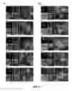 Fig. 12 - METHOD AND APPARATUS FOR HIGH-RESOLUTION IMAGING OF CELL-CELL COMMUNICATION