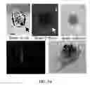 Fig. 13 - Optical cytometry to determine cell mass changes in response to a biologically active agent