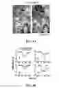 Fig. 17 - Optical cytometry to determine cell mass changes in response to a biologically active agent