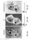 Fig. 19 - Optical cytometry to determine cell mass changes in response to a biologically active agent