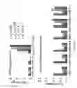 Fig. 22 - COMPOSITIONS AND METHODS FOR MODULATING ONCOGENIC MIRNA