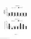 Fig. 05 - Methods for Treatment with Bucindolol Based on Genetic Targeting