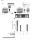 Fig. 03 - System and methods for detecting ribosome inhibition