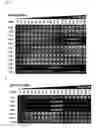 Fig. 05 - System and methods for detecting ribosome inhibition